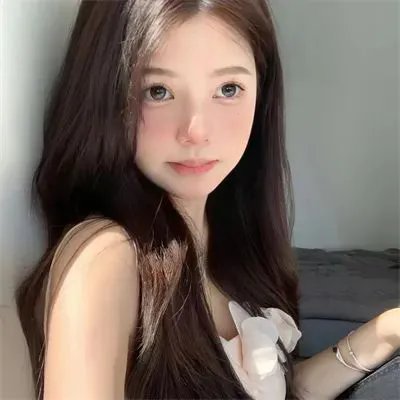 莫西干回到故乡